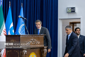 AEOI reacts to IAEA chief's remarks about JCPOA

