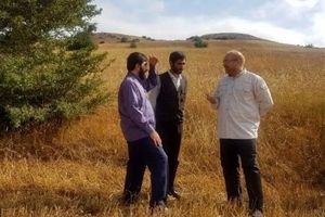 Qalibaf Refutes US Claims on Iran’s Assets
